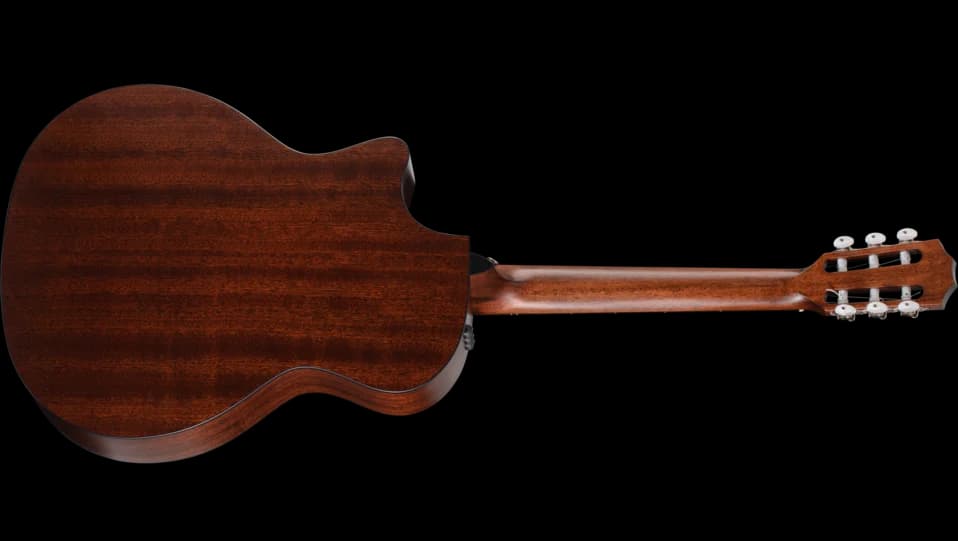Taylor 314ce-N — photo 2