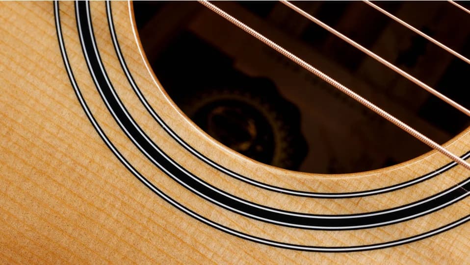 Taylor 50th Anniversary 314ce LTD — photo 6