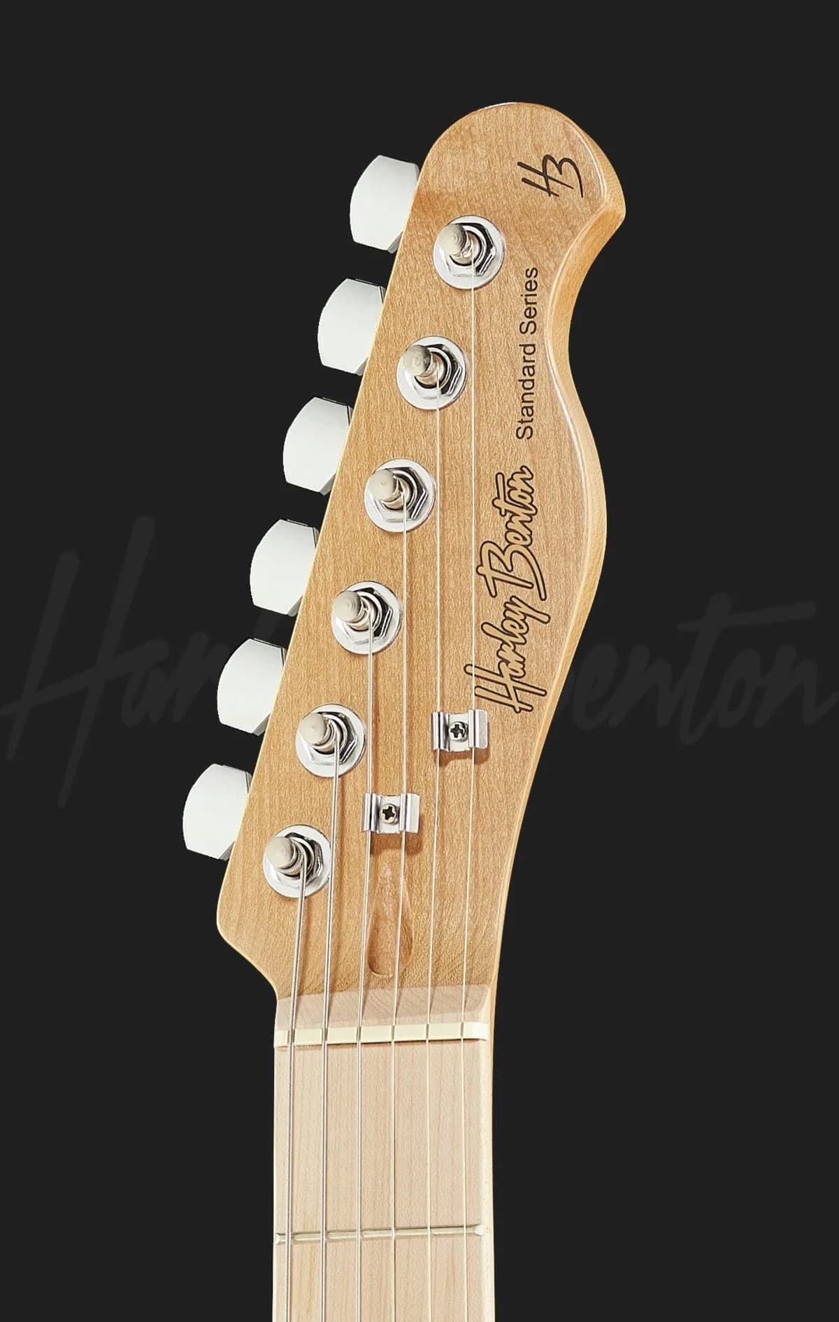 Harley Benton TE-20MN CA — photo 6