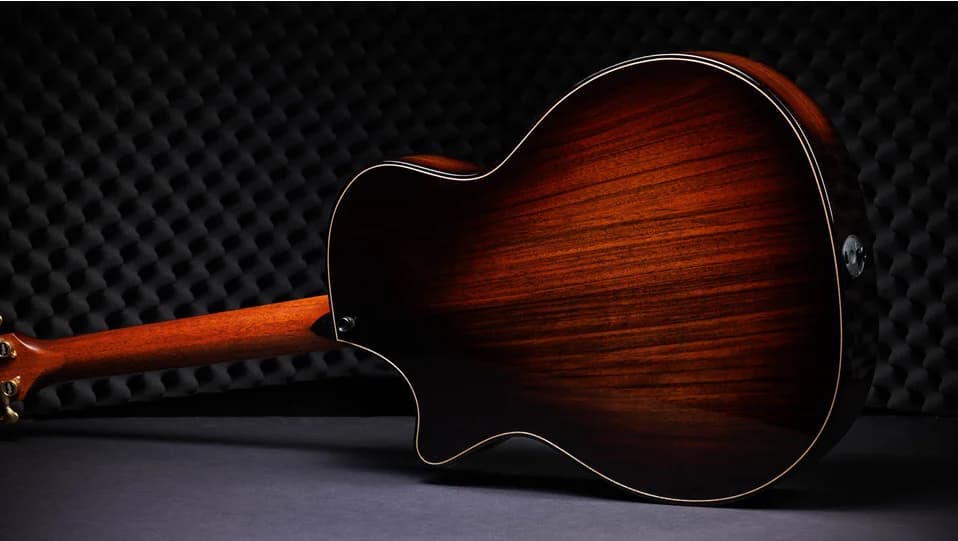Taylor 50th Anniversary Builder's Edition 814ce LTD — photo 4
