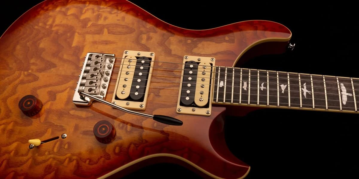 PRS SE Custom 24 Burled Ash
