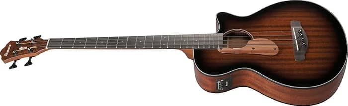 Ibanez AEGB24E — photo 7