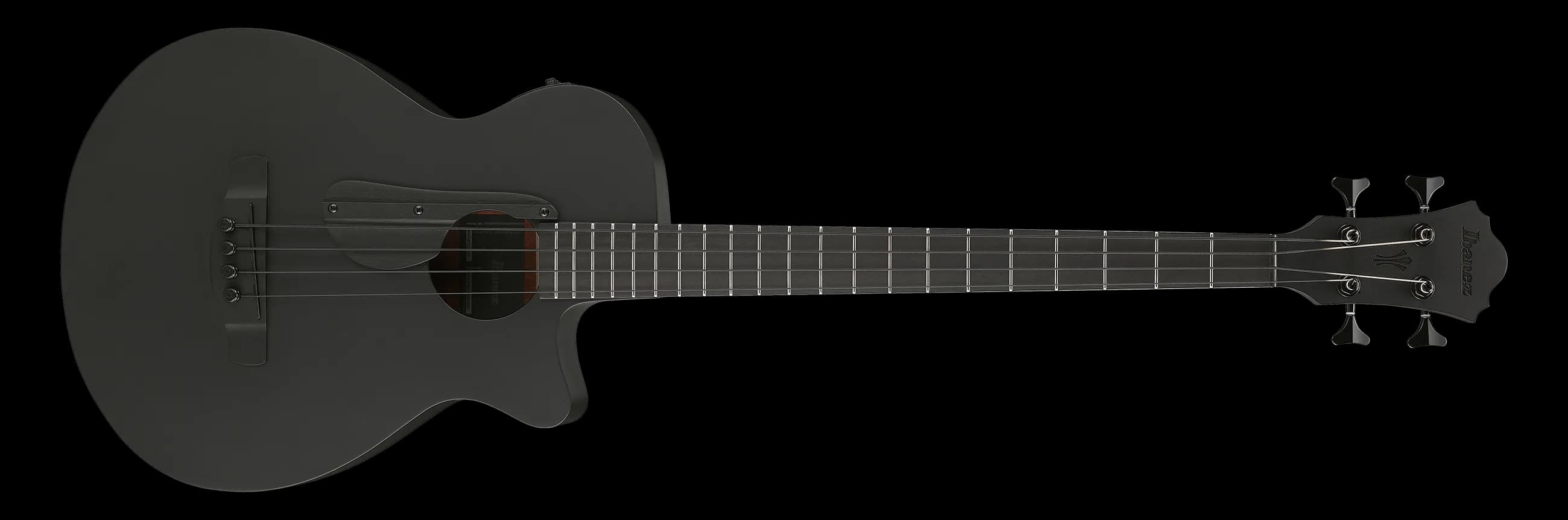 Ibanez AEGB420