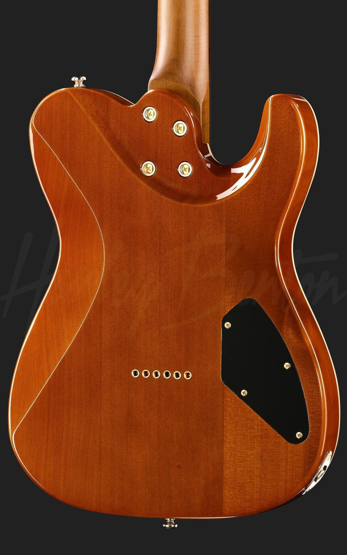 Harley Benton Fusion-T II HH LH RW HT FBB — photo 5