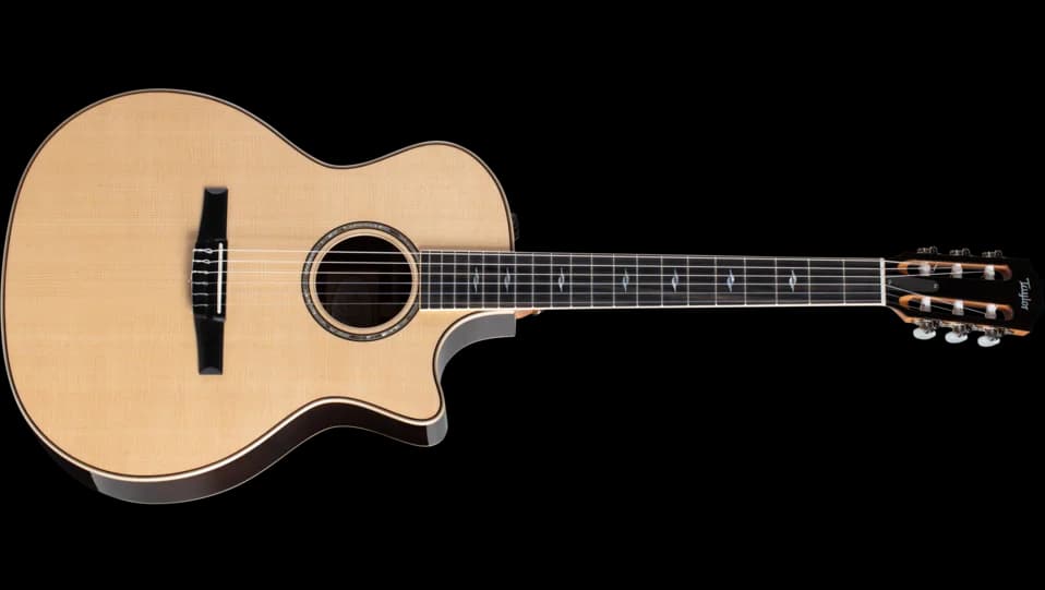 Taylor 814ce-N
