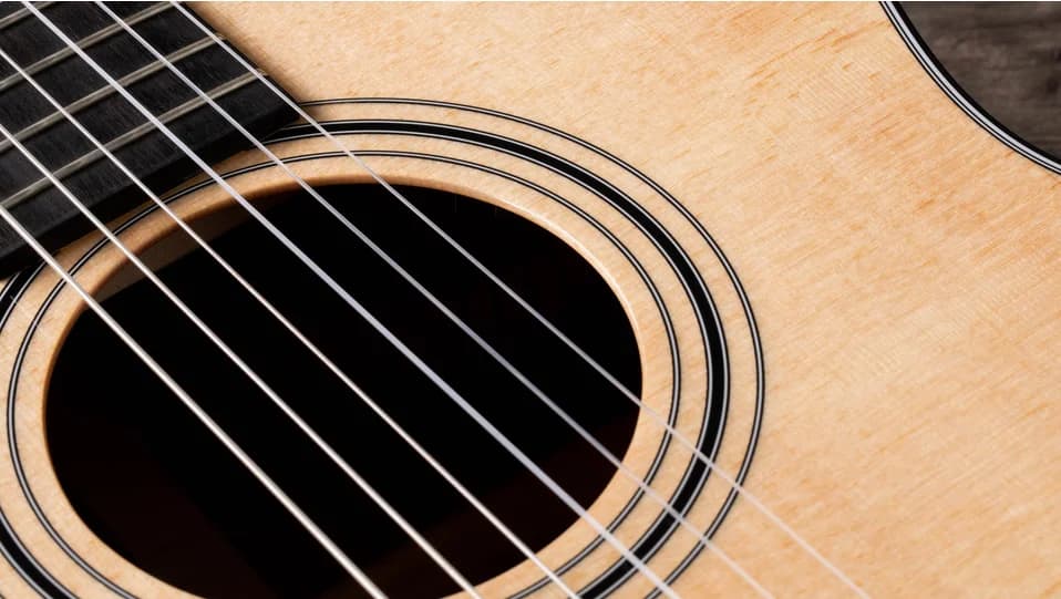 Taylor 314ce-N — photo 6