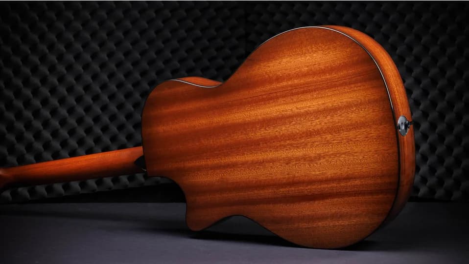 Taylor 50th Anniversary 314ce LTD — photo 4