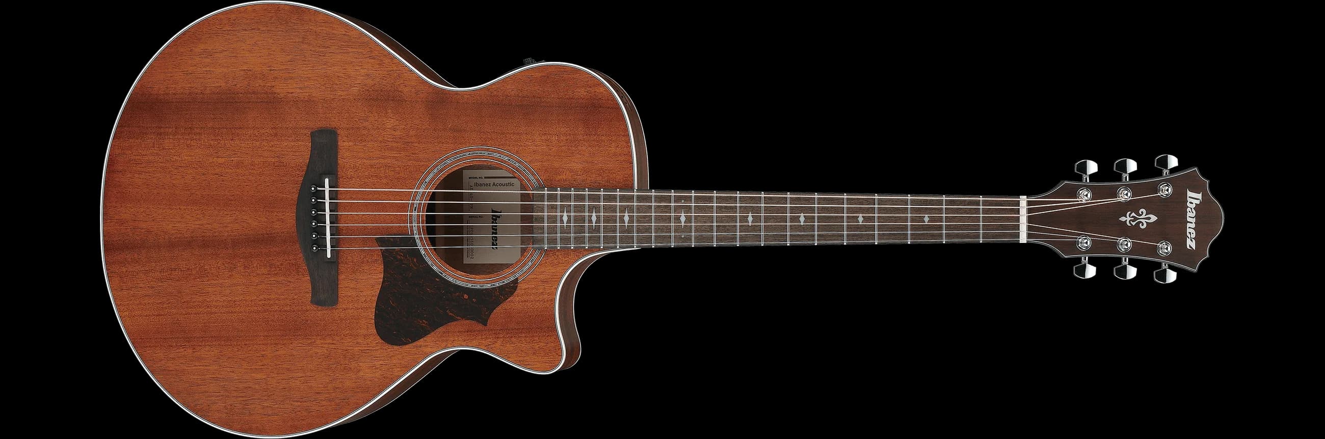 Ibanez AE140 — photo 2