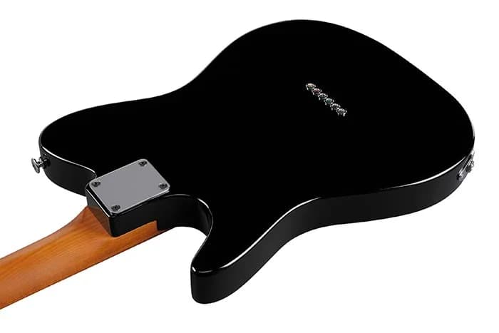 Ibanez FLATV1 — photo 3