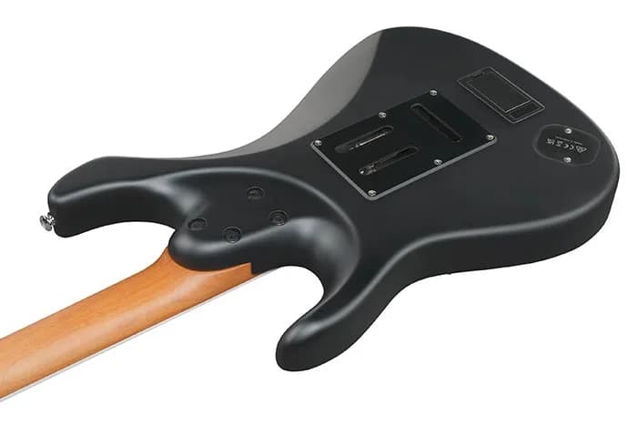 Ibanez BER10 — photo 3