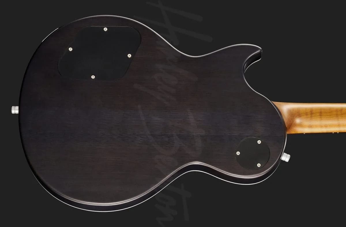 Harley Benton Agufish Custom Signature PB LTD — photo 5