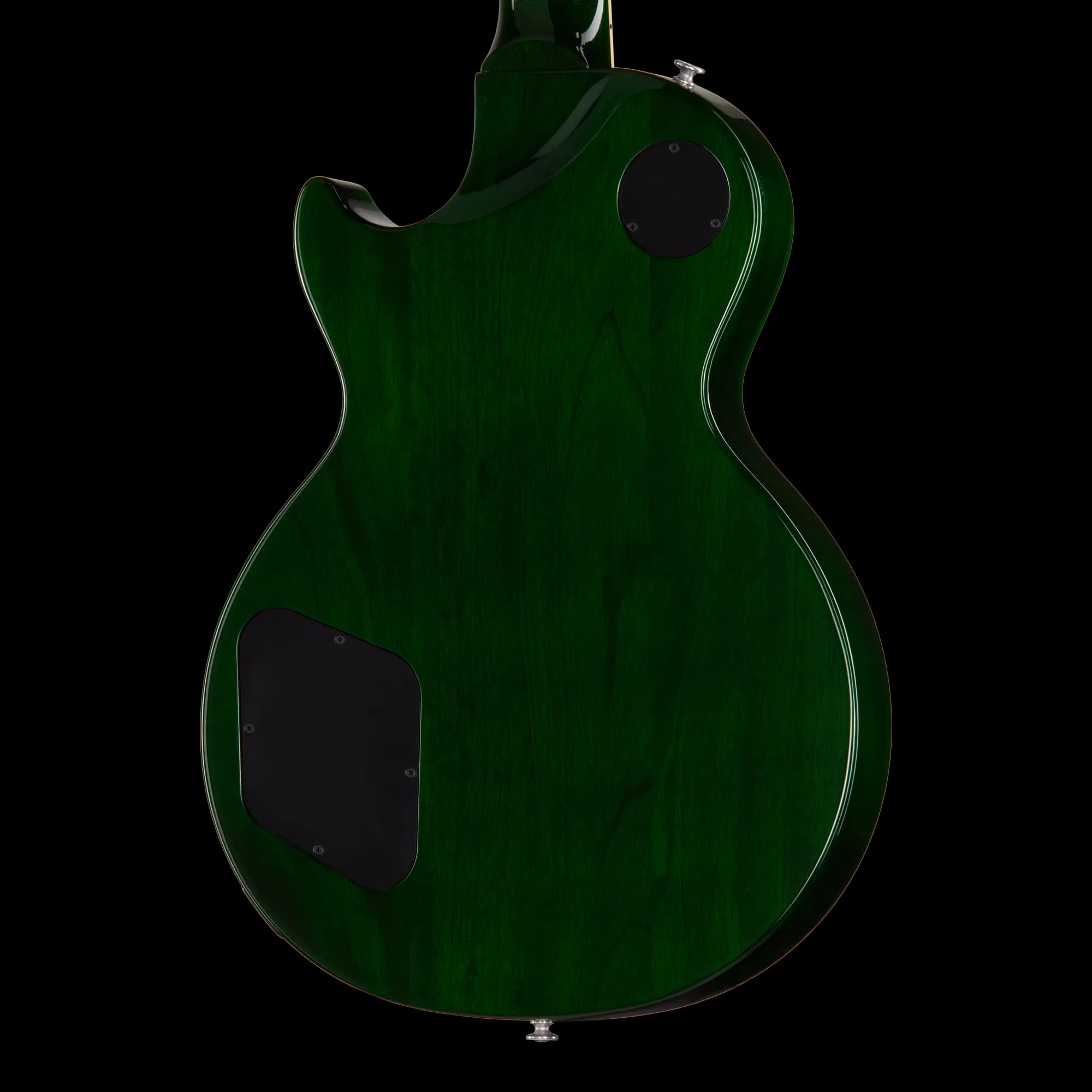 Gibson Les Paul Studio Session, Iguana Burst — photo 2