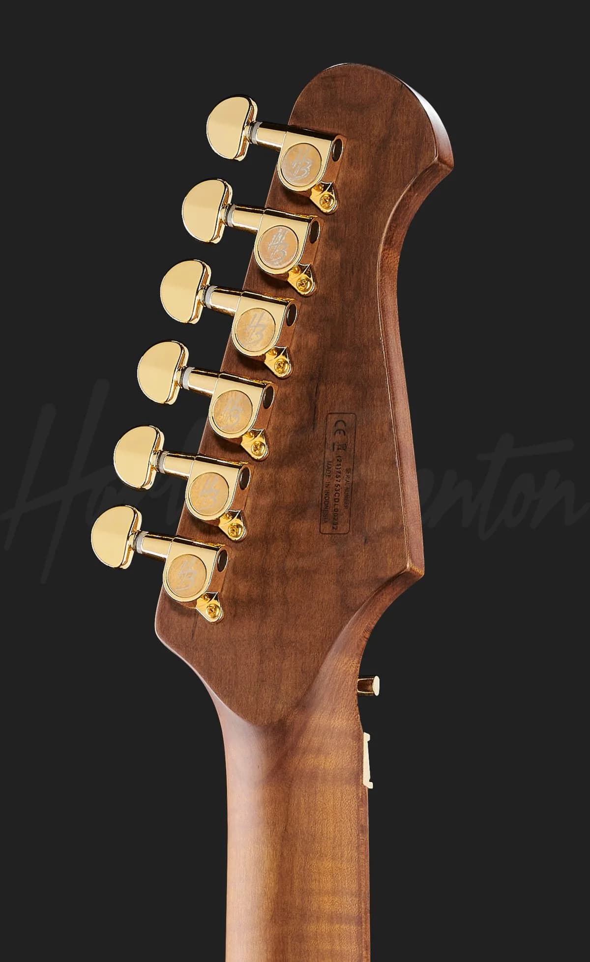 Harley Benton Guitar MAX Fusion Signature — photo 7