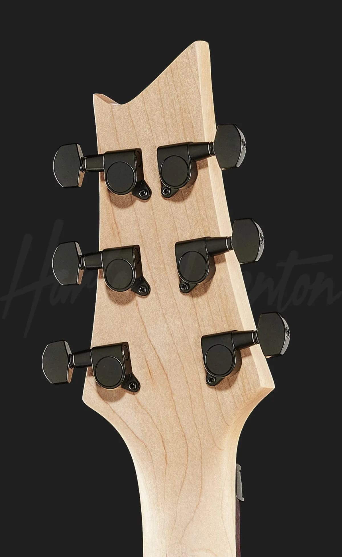 Harley Benton R-456FR BK — photo 7