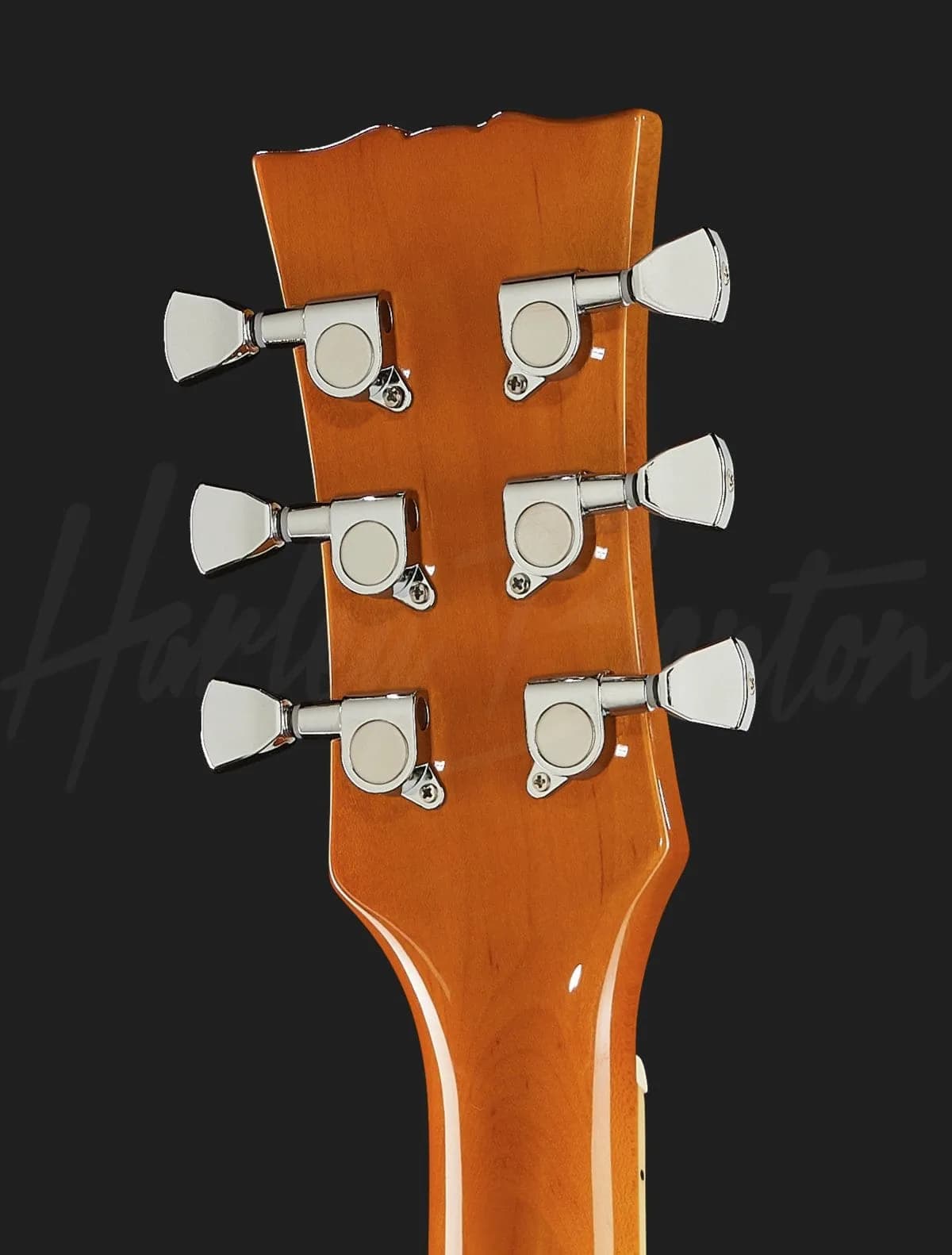 Harley Benton HB-35Plus LD — photo 7