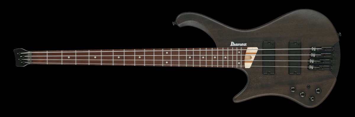 Ibanez EHB600L