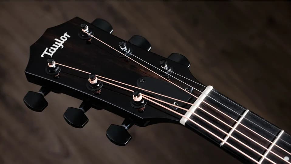 Taylor 217e-BLK Plus — photo 8