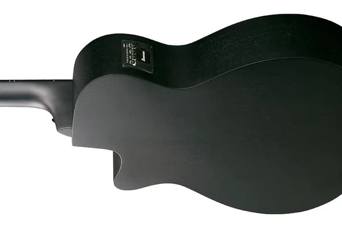 Ibanez AEGB420 — photo 3