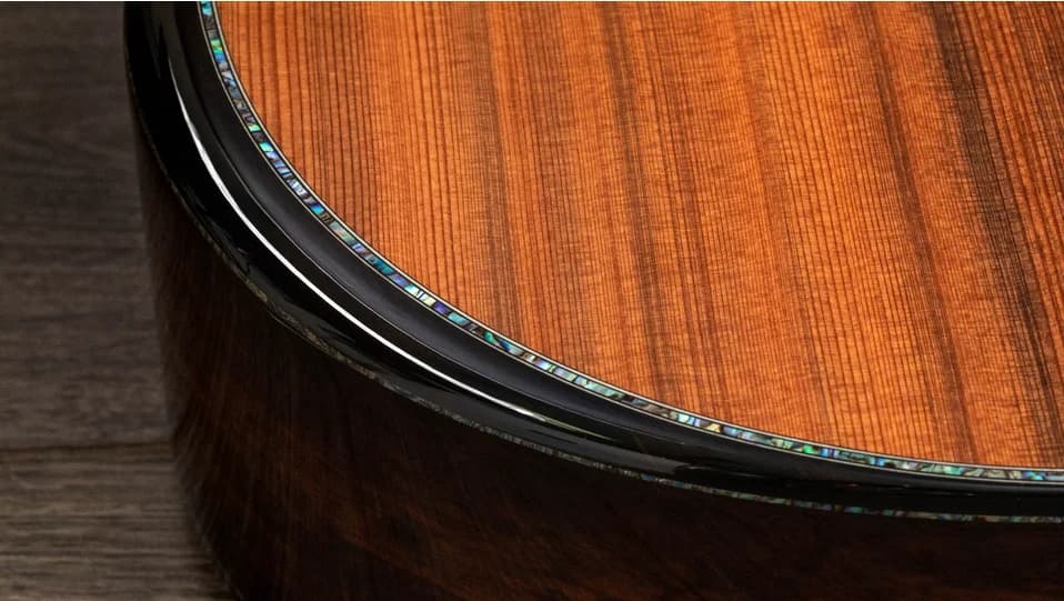 Taylor PS12ce 12-Fret Honduran Rosewood — photo 5