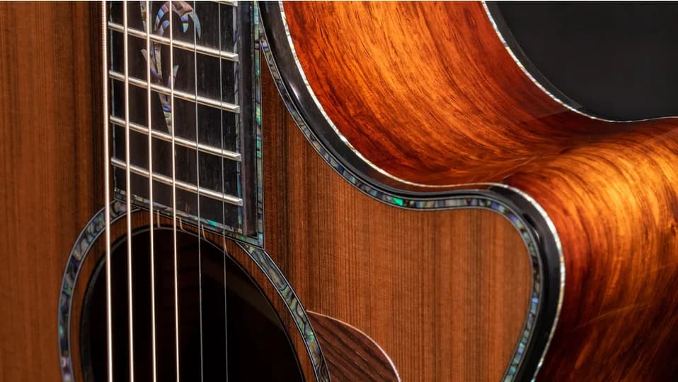 Taylor PS12ce 12-Fret Honduran Rosewood — photo 7