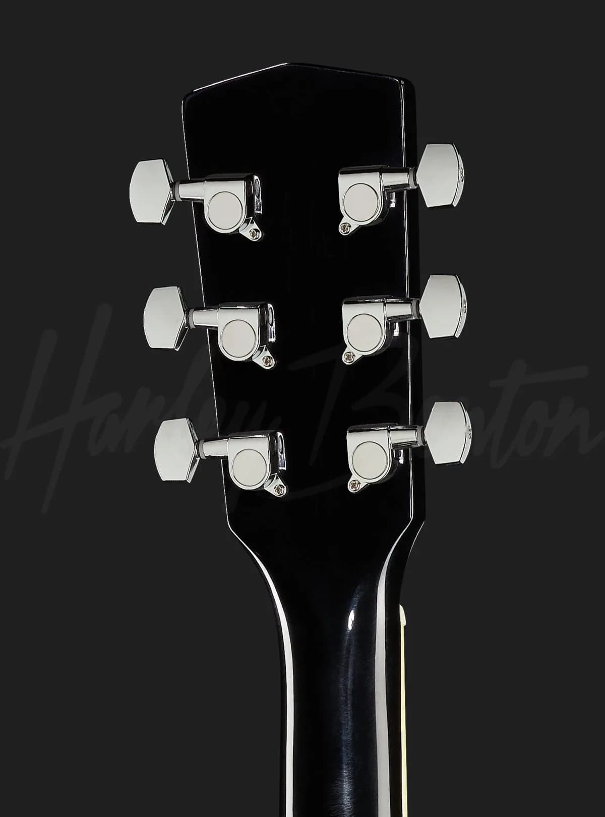 Harley Benton D-120 BK — photo 7