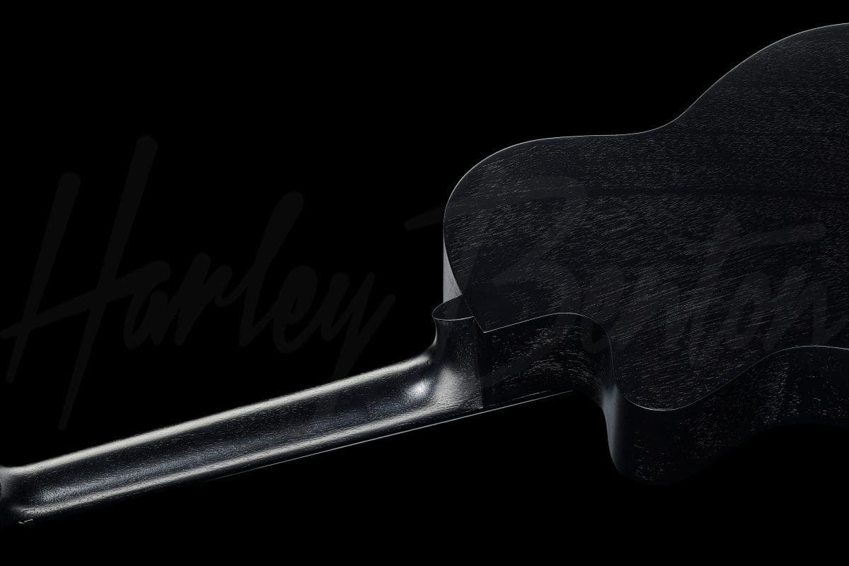 Harley Benton CG-400CE Thinline BK — photo 8