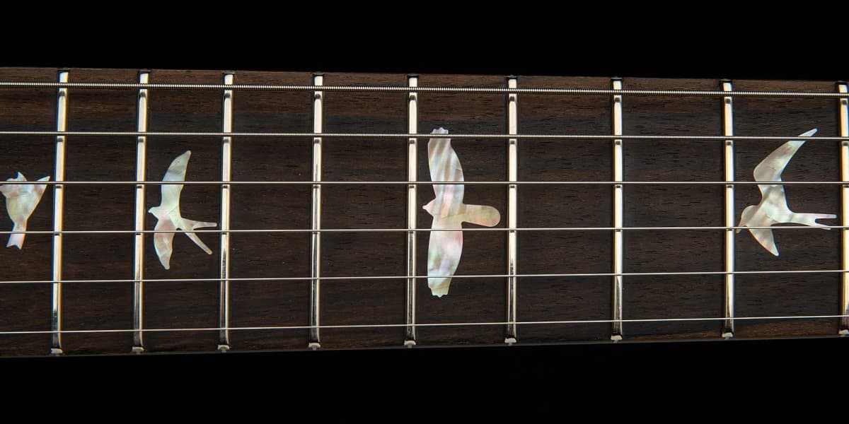 PRS Charcoal Phoenix Limited Edition — photo 6
