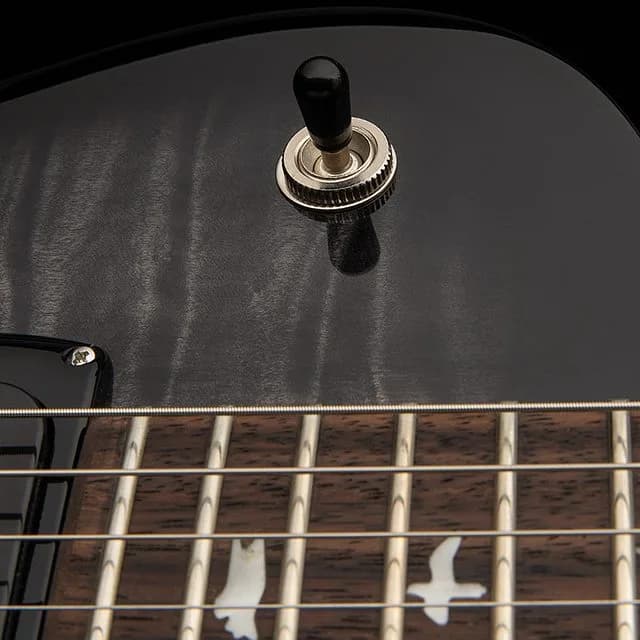 PRS SE Mark Tremonti — photo 5