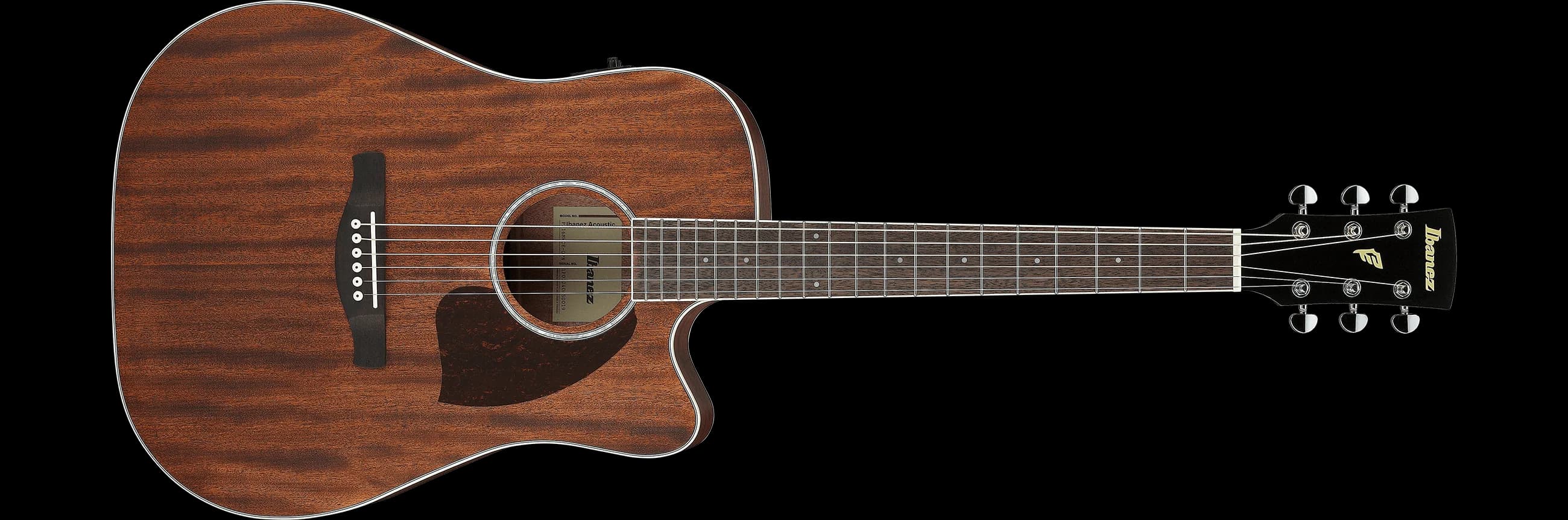 Ibanez PF16MWCE