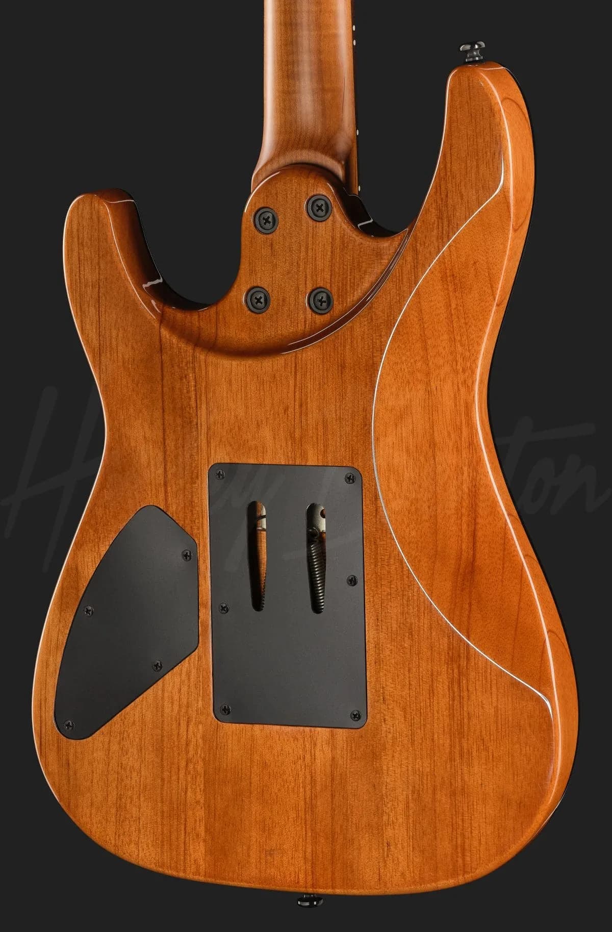 Harley Benton Fusion-IV HH RW FR WM — photo 5