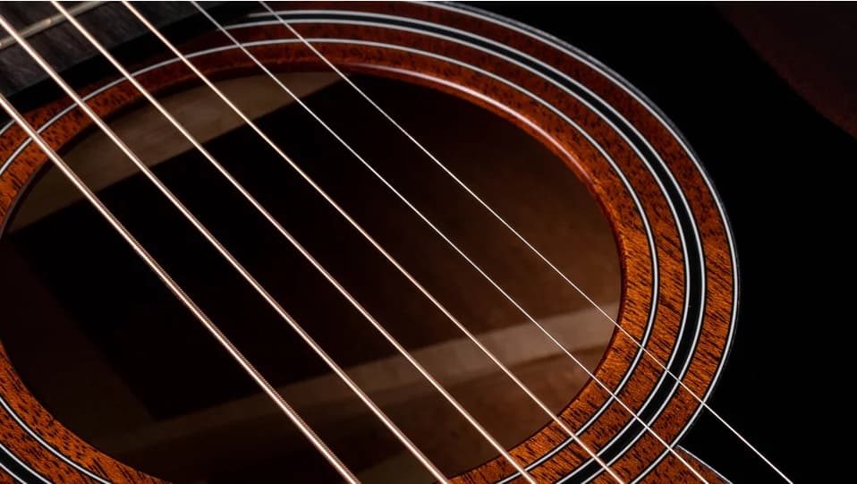 Taylor 326ce (2020) — photo 6