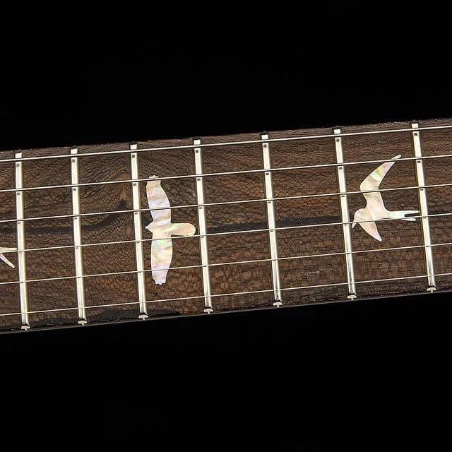 PRS Paul's Guitar Mango Top Limited Edition — photo 6
