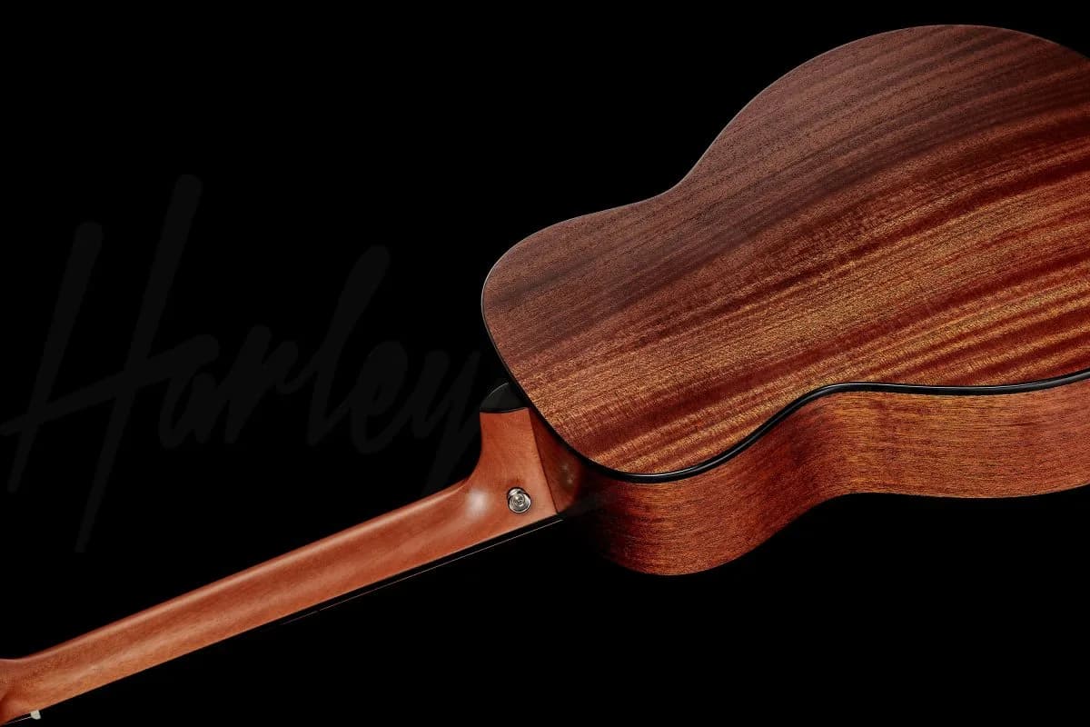 Harley Benton GS-Travel-E Bass Spruce — photo 8