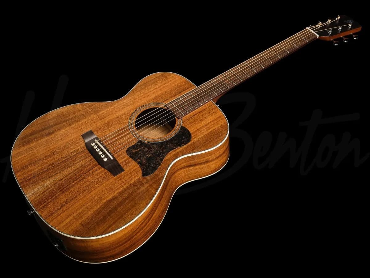 Harley Benton CLO-65AE NT — photo 7