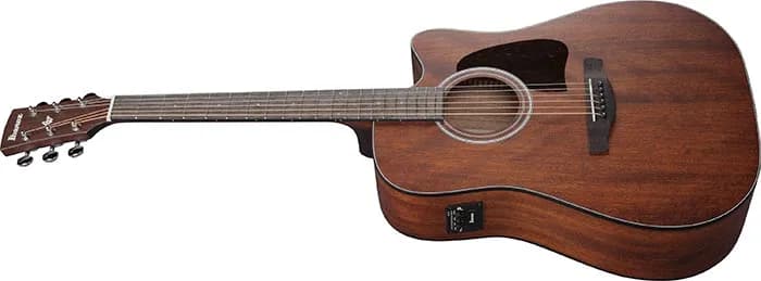 Ibanez AW54CE — photo 4