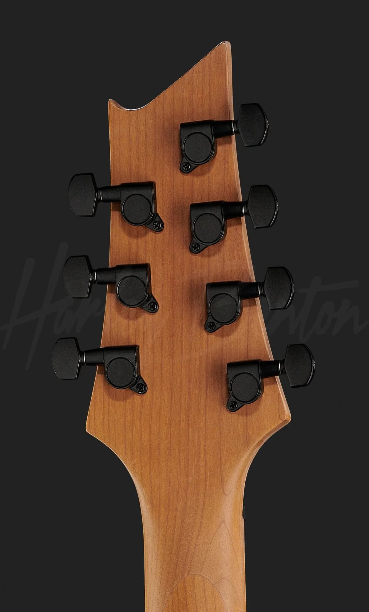 Harley Benton R-457FFB Roasted MultiScale — photo 7