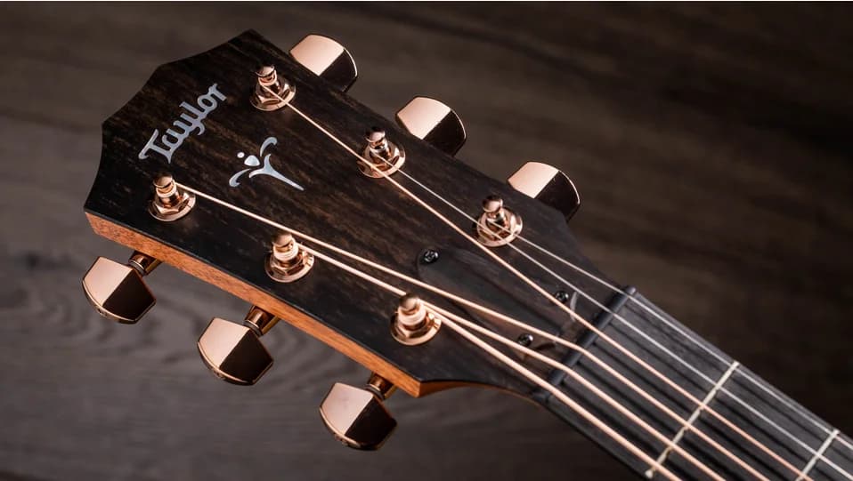 Taylor 724ce (2022) — photo 8