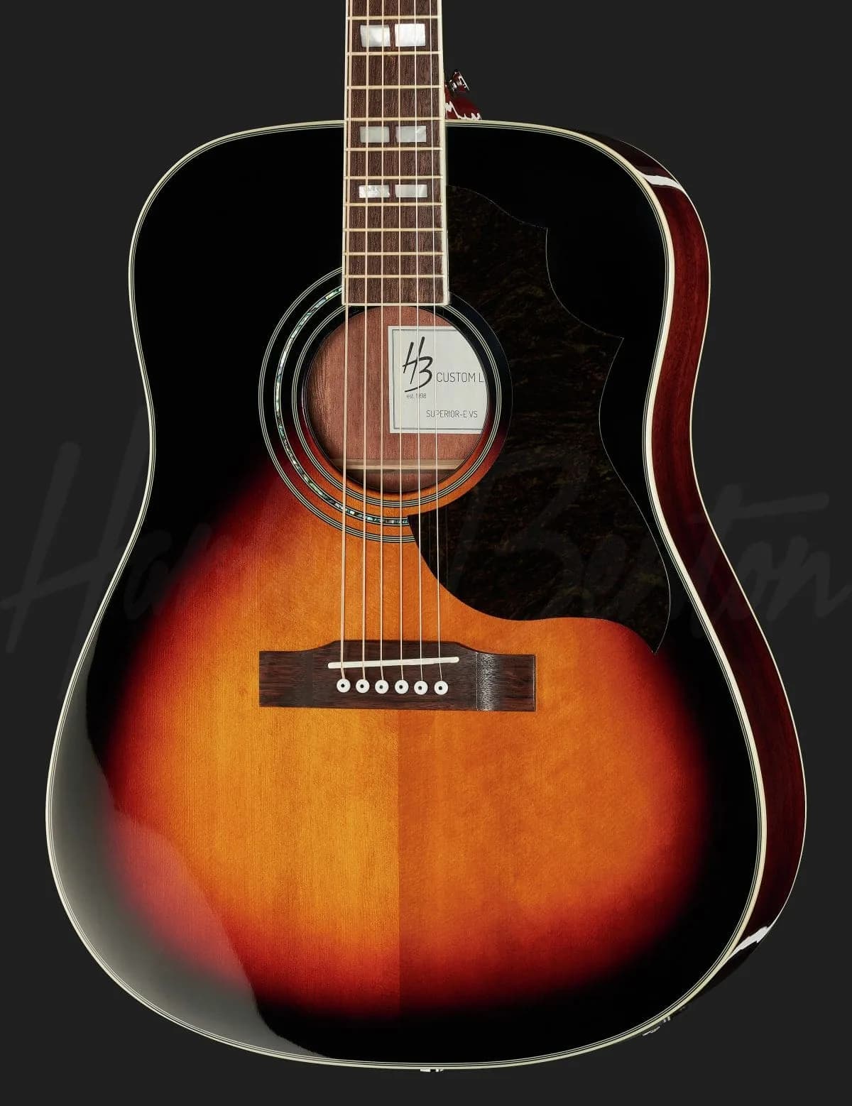 Harley Benton CL Superior-E Pro VS — photo 4