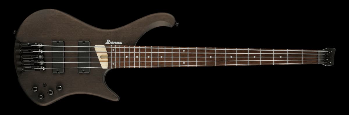 Ibanez EHB605 — photo 2