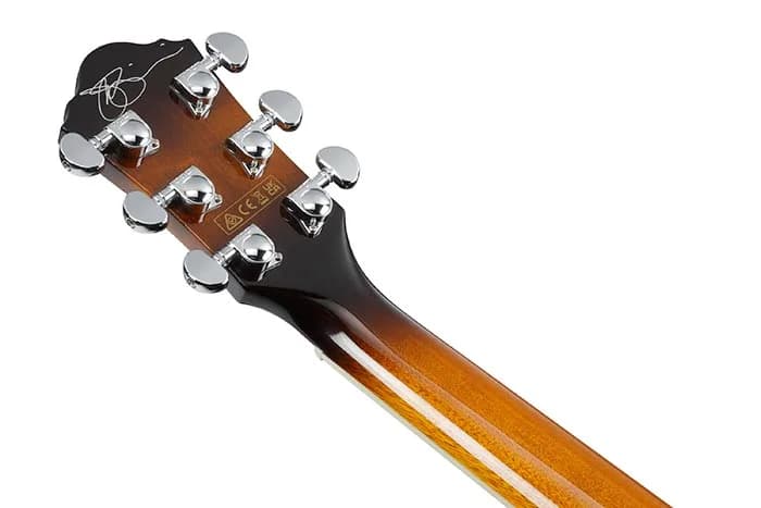 Ibanez JSA20 — photo 2