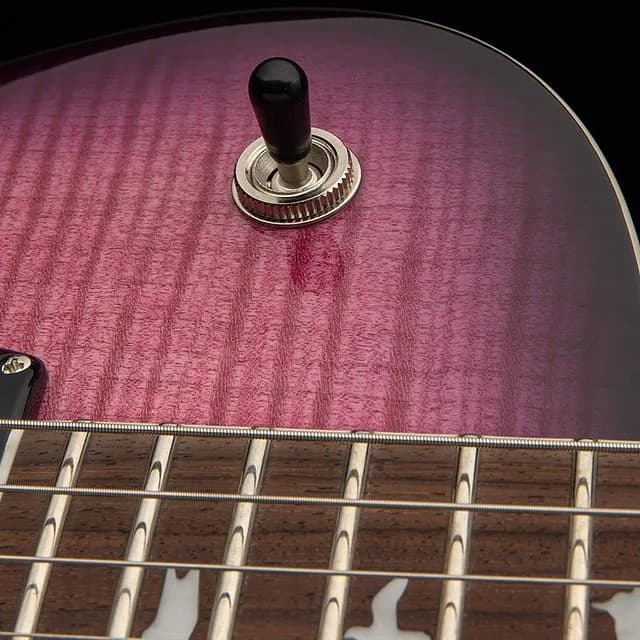 PRS SE Zach Myers — photo 5