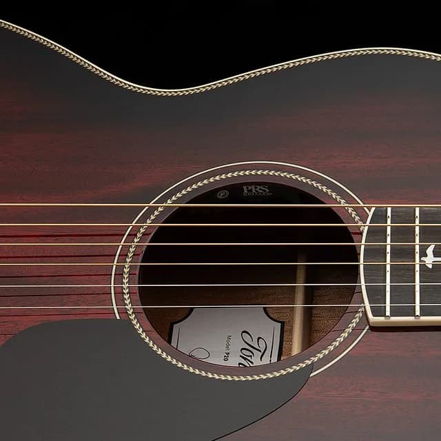 PRS SE P20E — photo 4