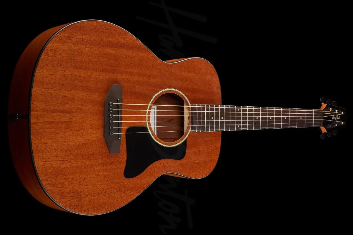 Harley Benton GS-Travel Mahogany — photo 8