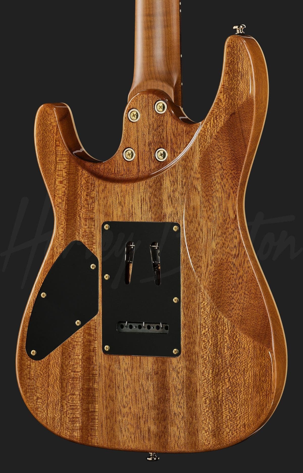 Harley Benton Fusion-IV HH RW FBB — photo 5