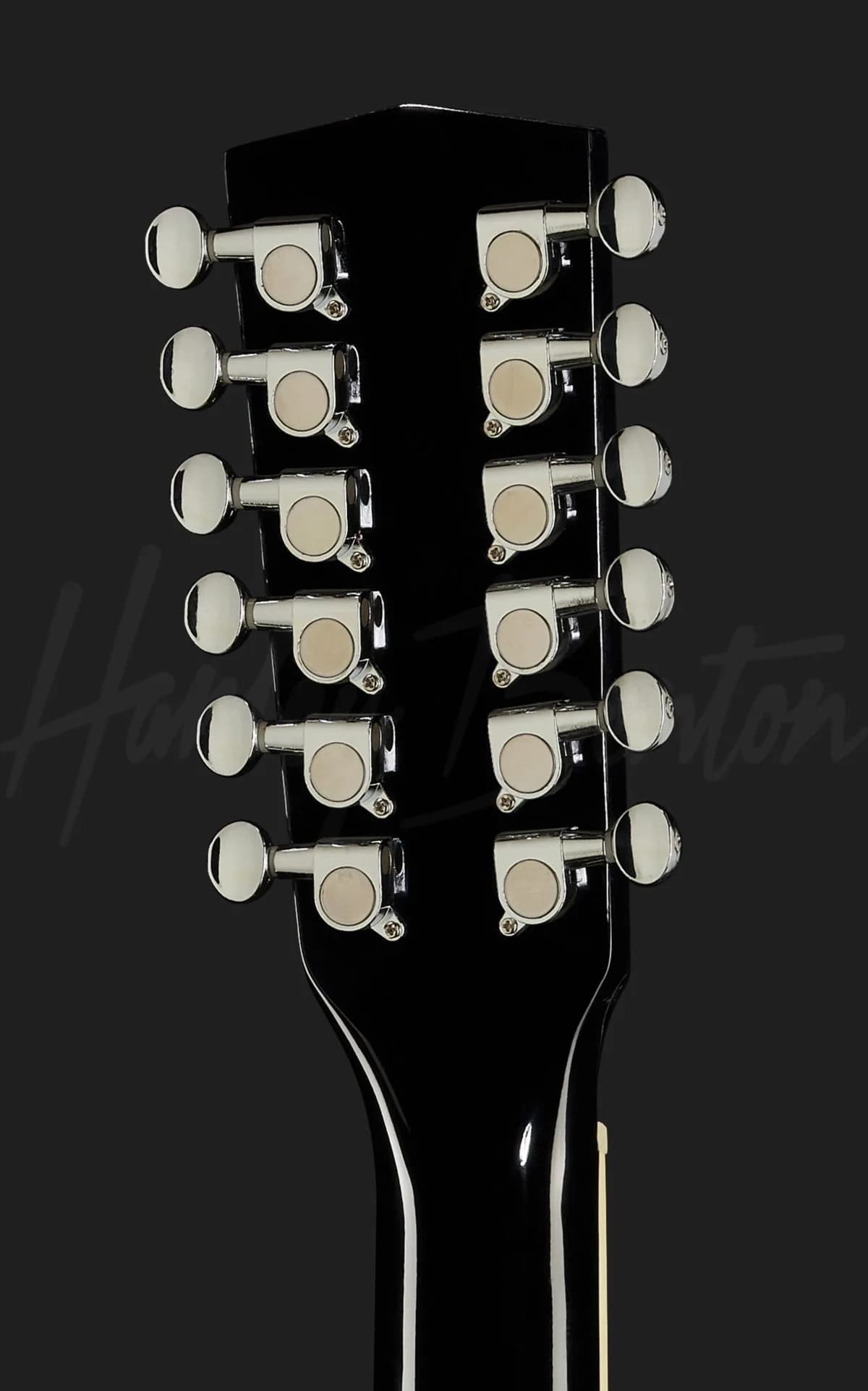 Harley Benton D-200CE-12 BK — photo 7