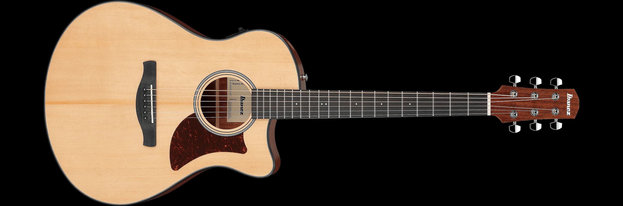 Ibanez AAM50CE