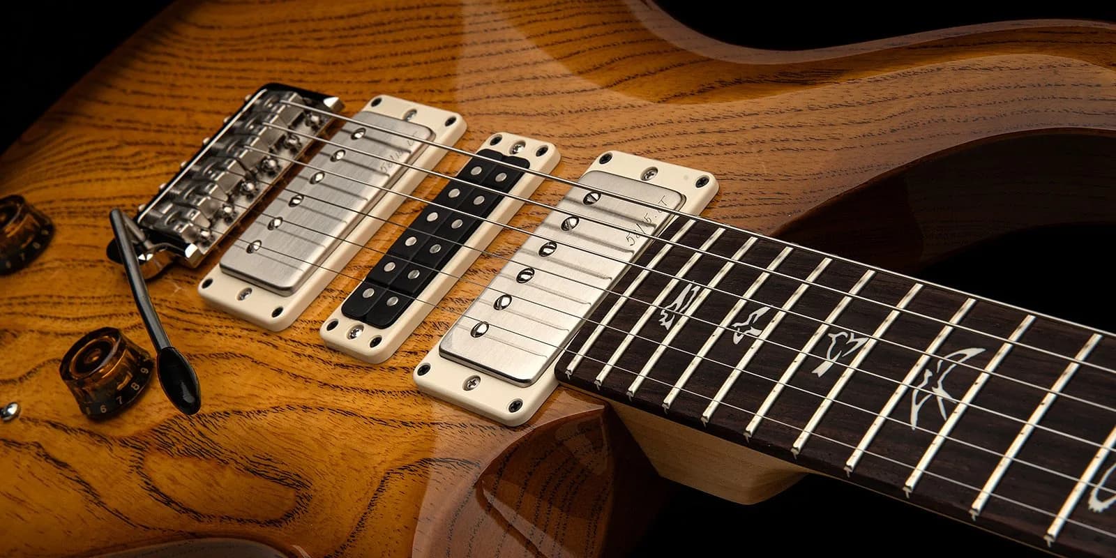 PRS Swamp Ash Special — photo 6