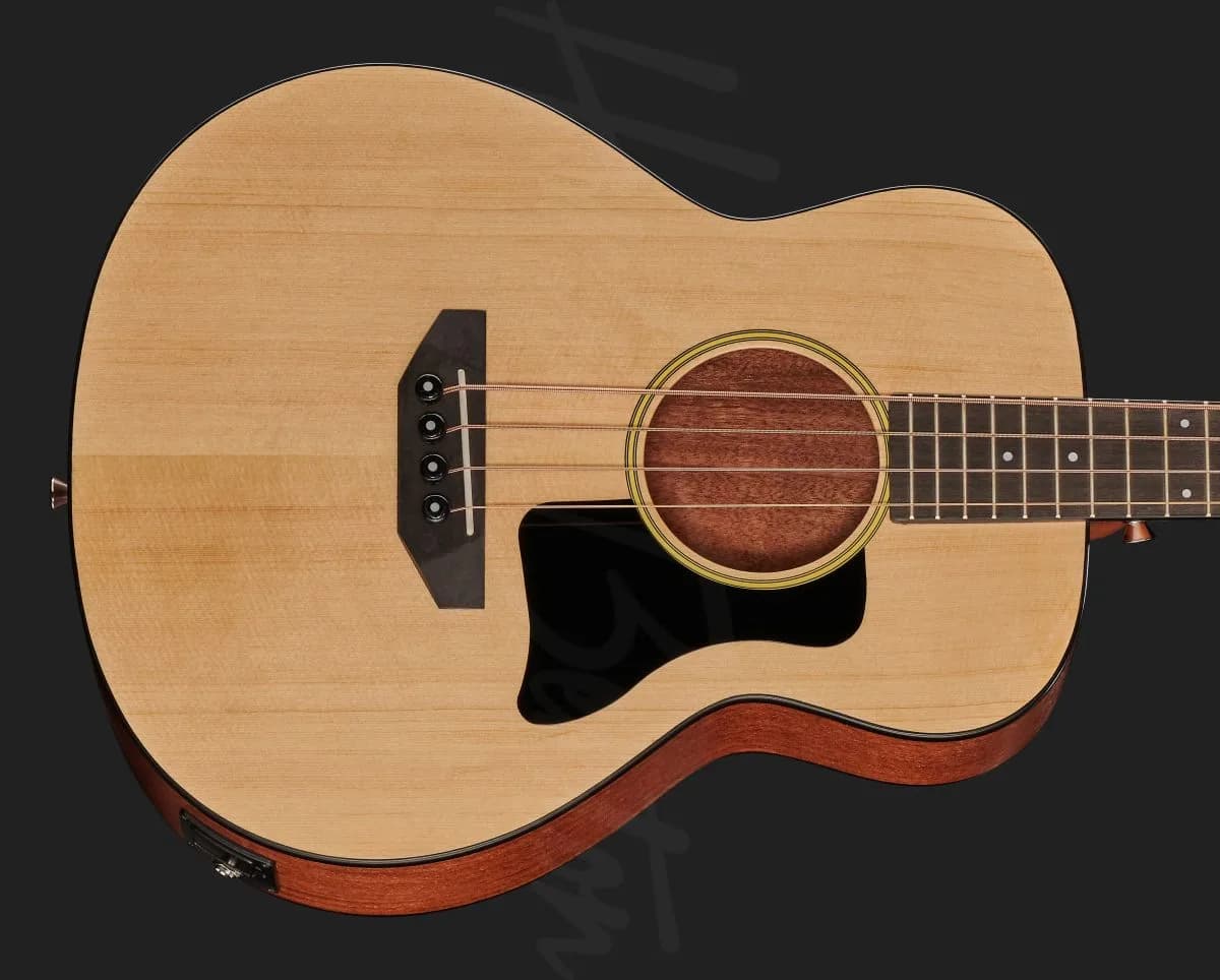 Harley Benton GS-Travel-E Bass Spruce — photo 4