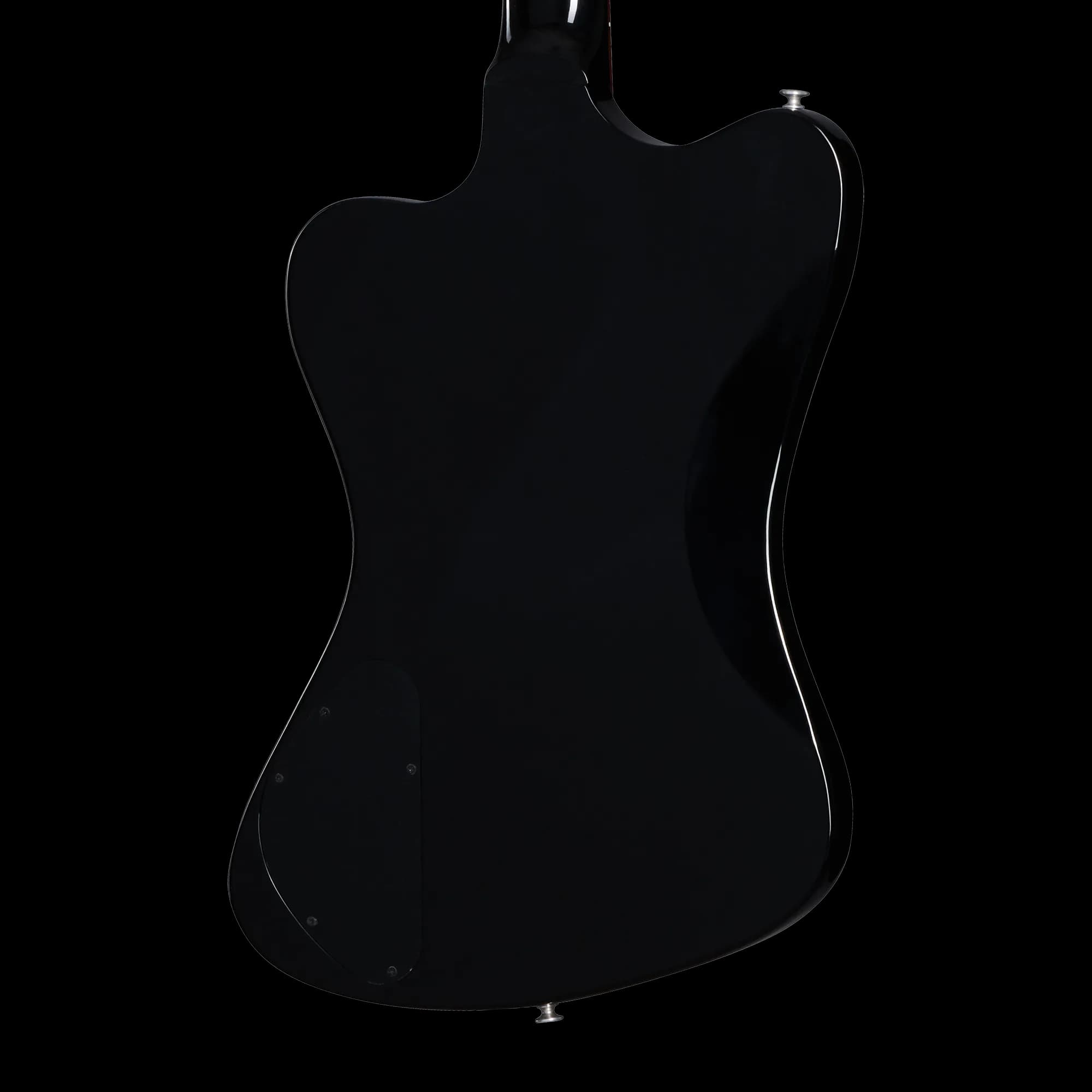 Gibson Non-Reverse Thunderbird, Ebony — photo 2