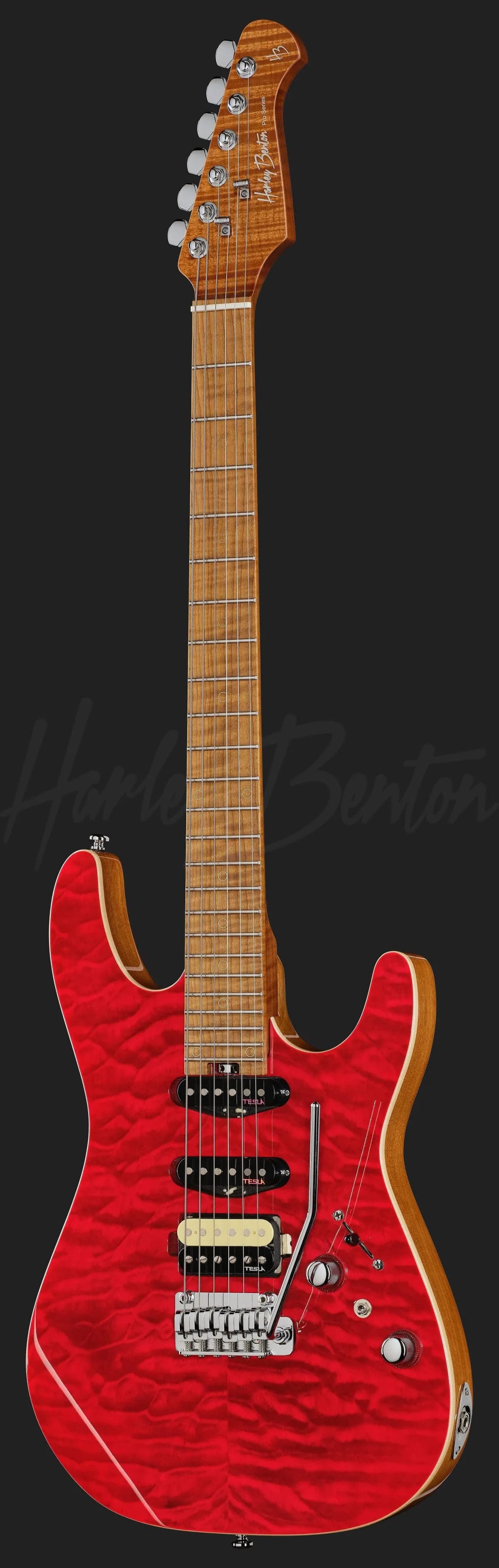 Harley Benton Fusion-IV HSS MN QRG — photo 2